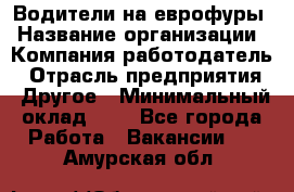 Водители на еврофуры › Название организации ­ Компания-работодатель › Отрасль предприятия ­ Другое › Минимальный оклад ­ 1 - Все города Работа » Вакансии   . Амурская обл.